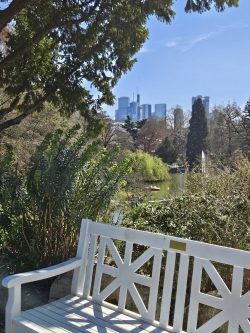 Bild neu Persönliche Einzelberatung