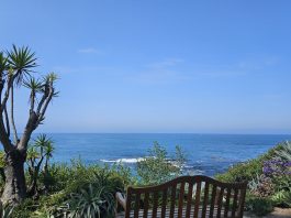 Home -Kleines Bild unten