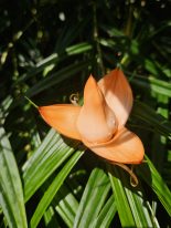 Home - kleines Bild unten